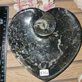 Orthocerus heart bowl