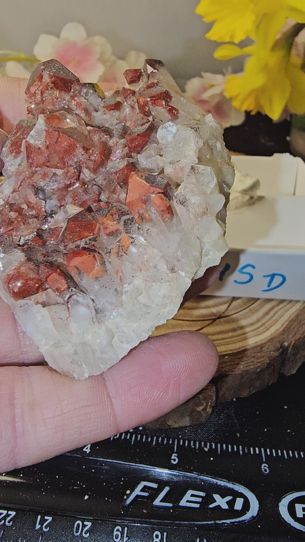 Orange River Quartz 45D