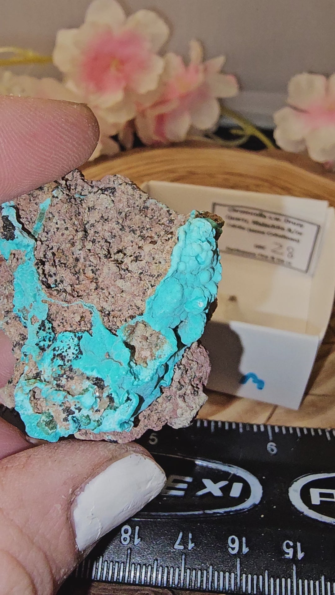 Chrysocolla specimen with malachite inclusions 28M