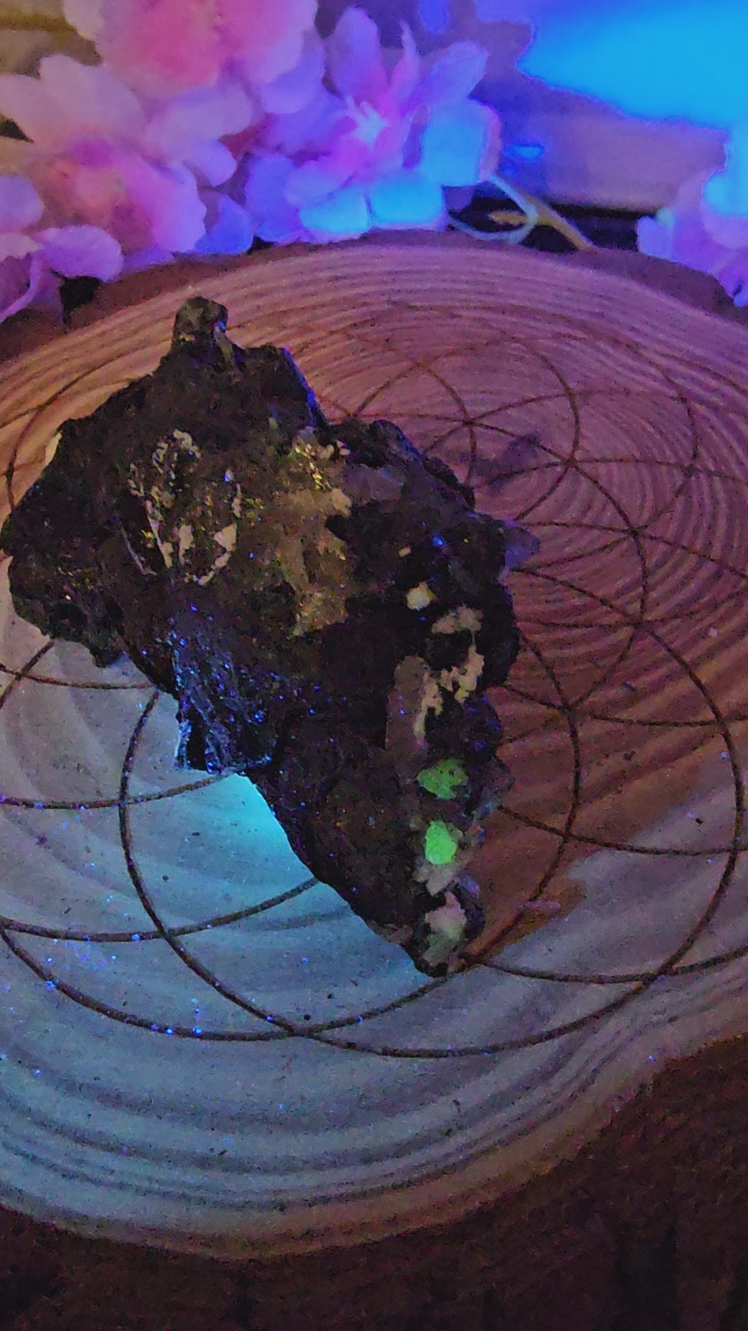 Mercedes Black tourmaline with hyalite opal has aquamarine 75