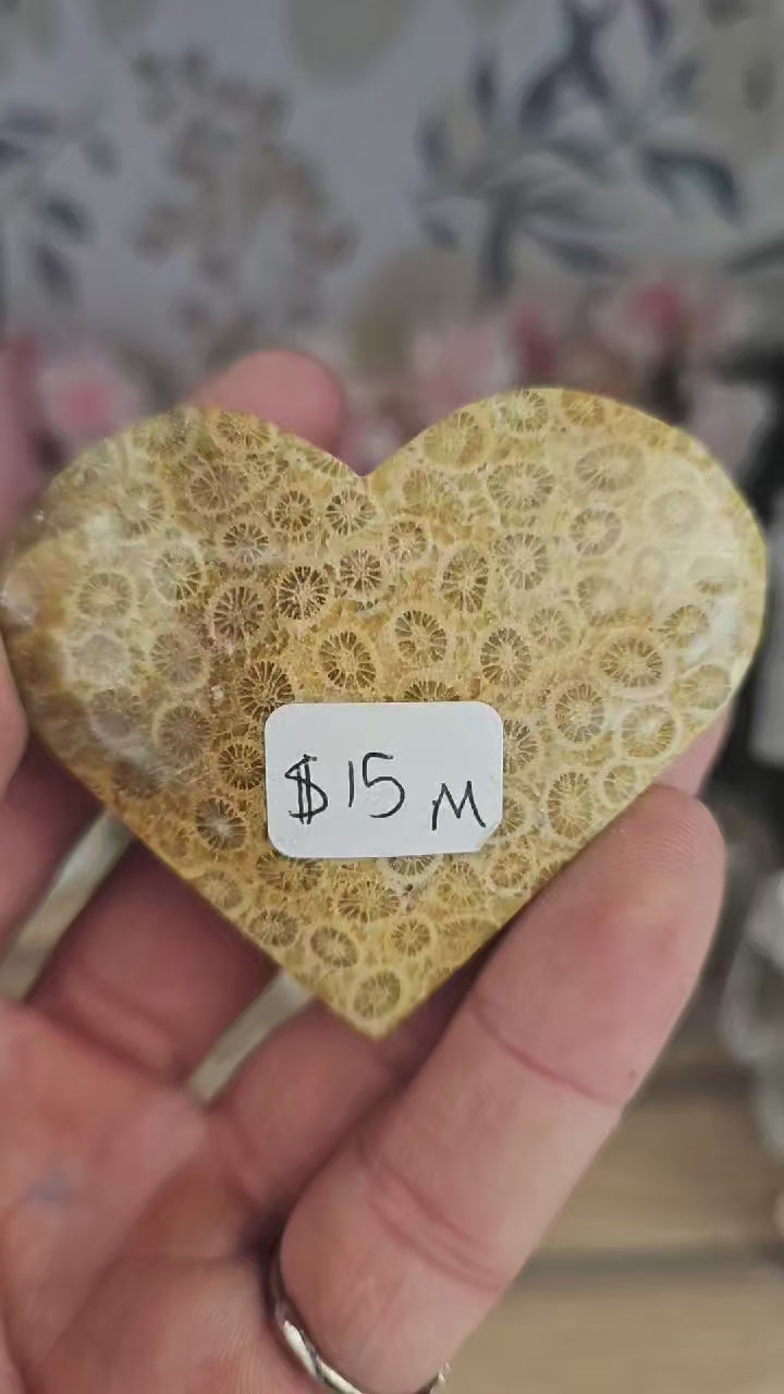 Coral fossil heart