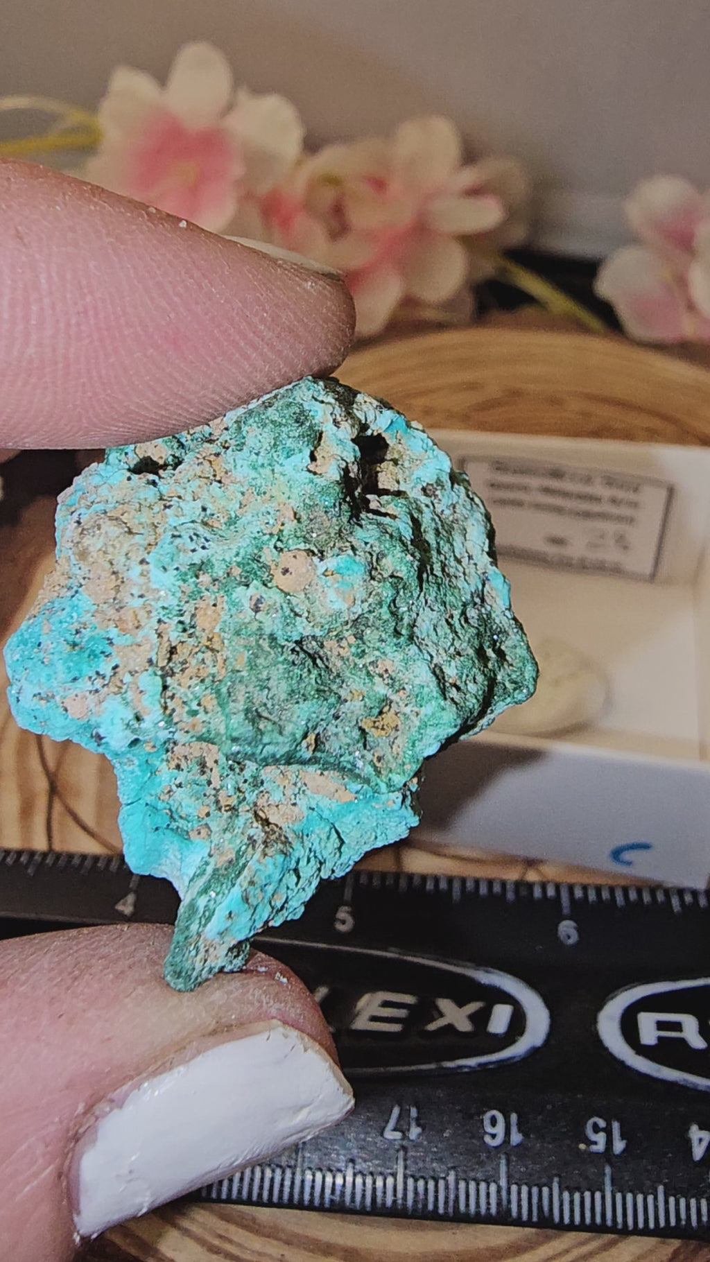 Chrysocolla specimen with malachite inclusions 28C