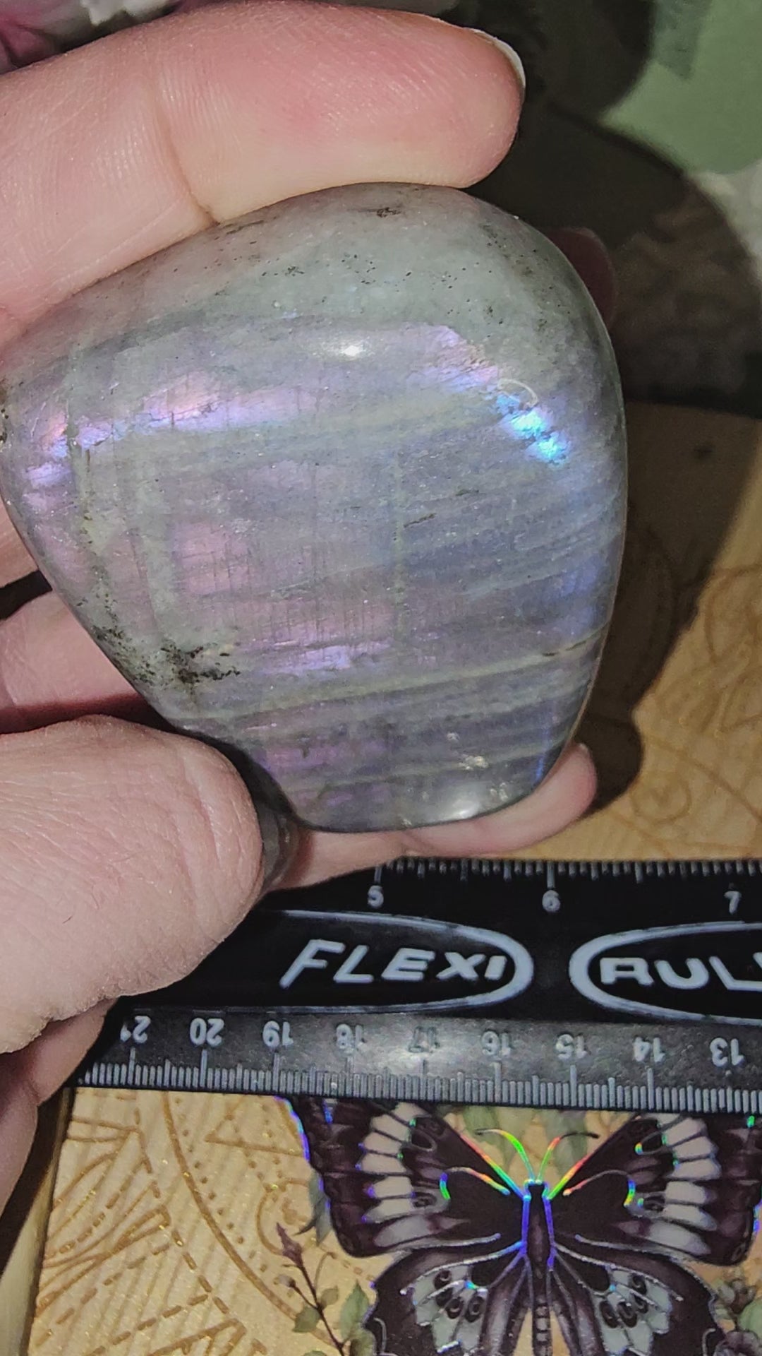 Purple lab freeform