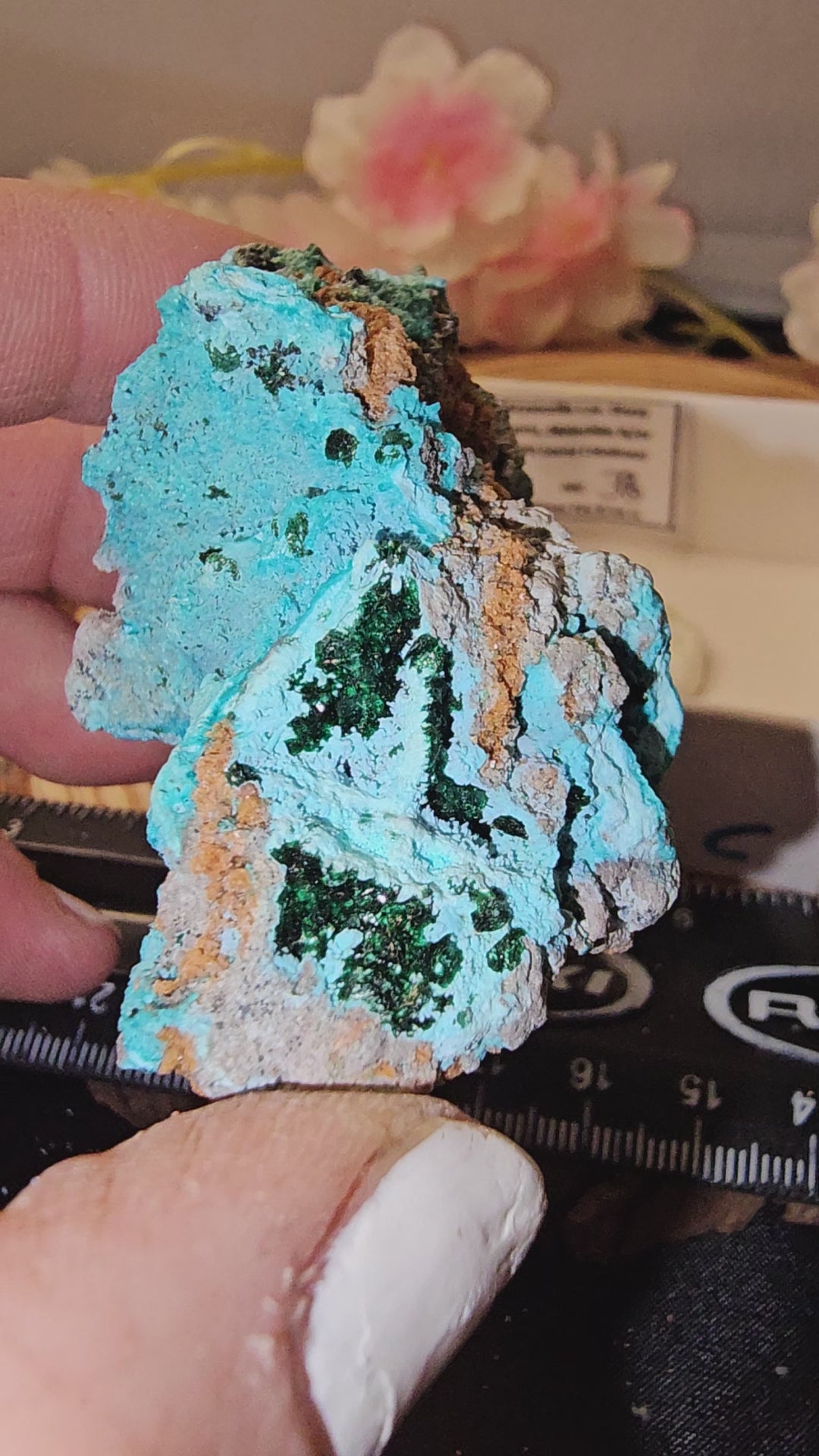 Chrysocolla specimen with malachite inclusions 38C