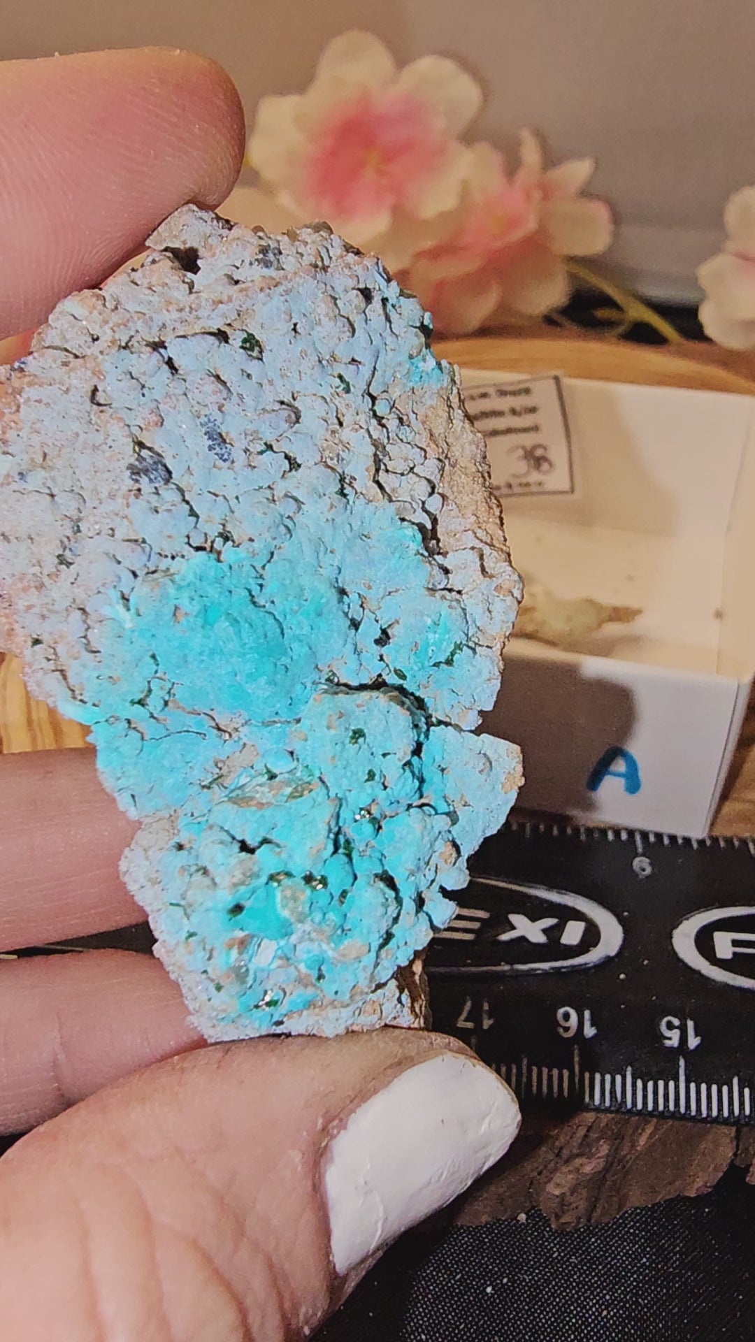 Chrysocolla specimen with malachite inclusions 38A