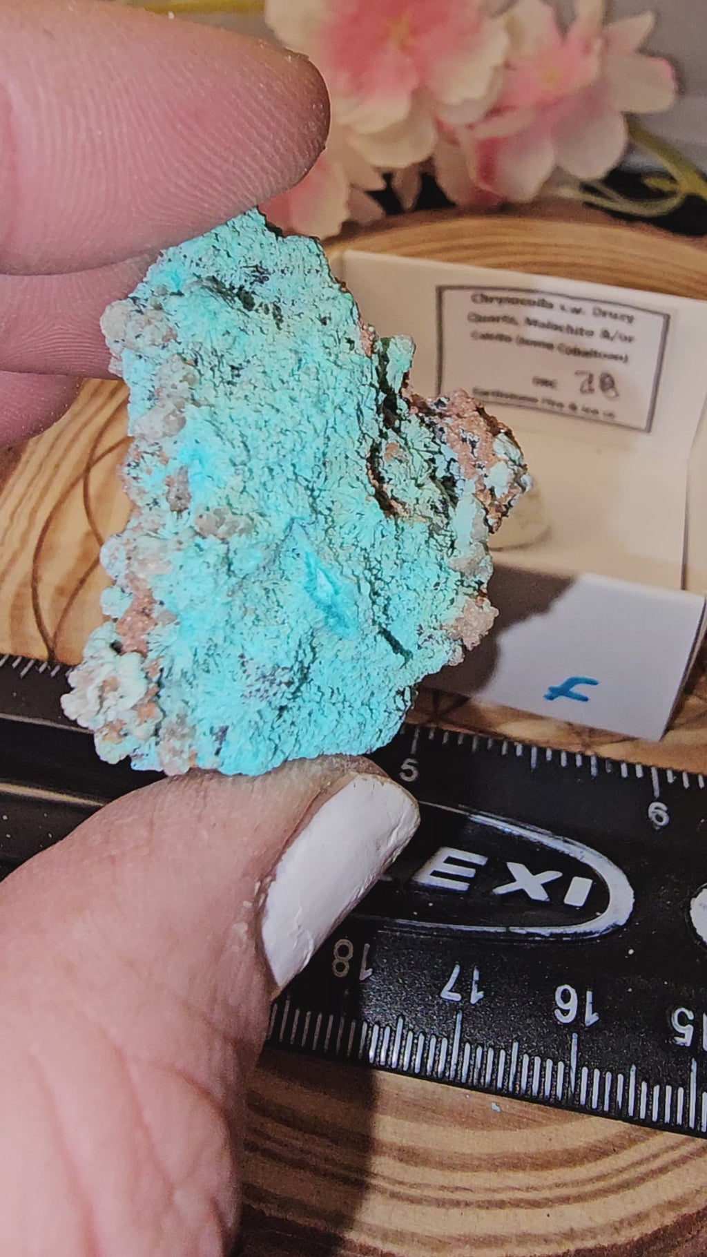Chrysocolla specimen with malachite inclusions 28F