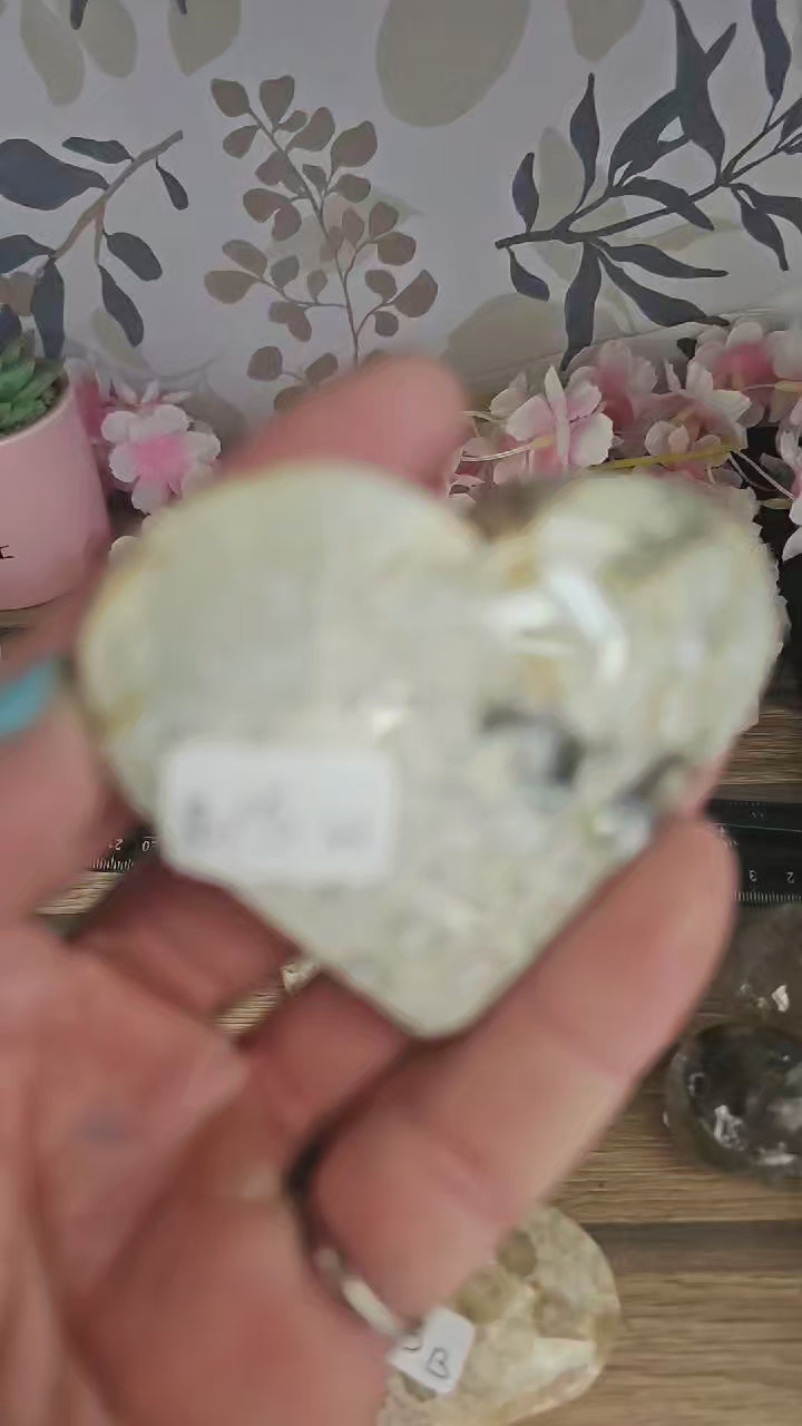 Coral fossil heart
