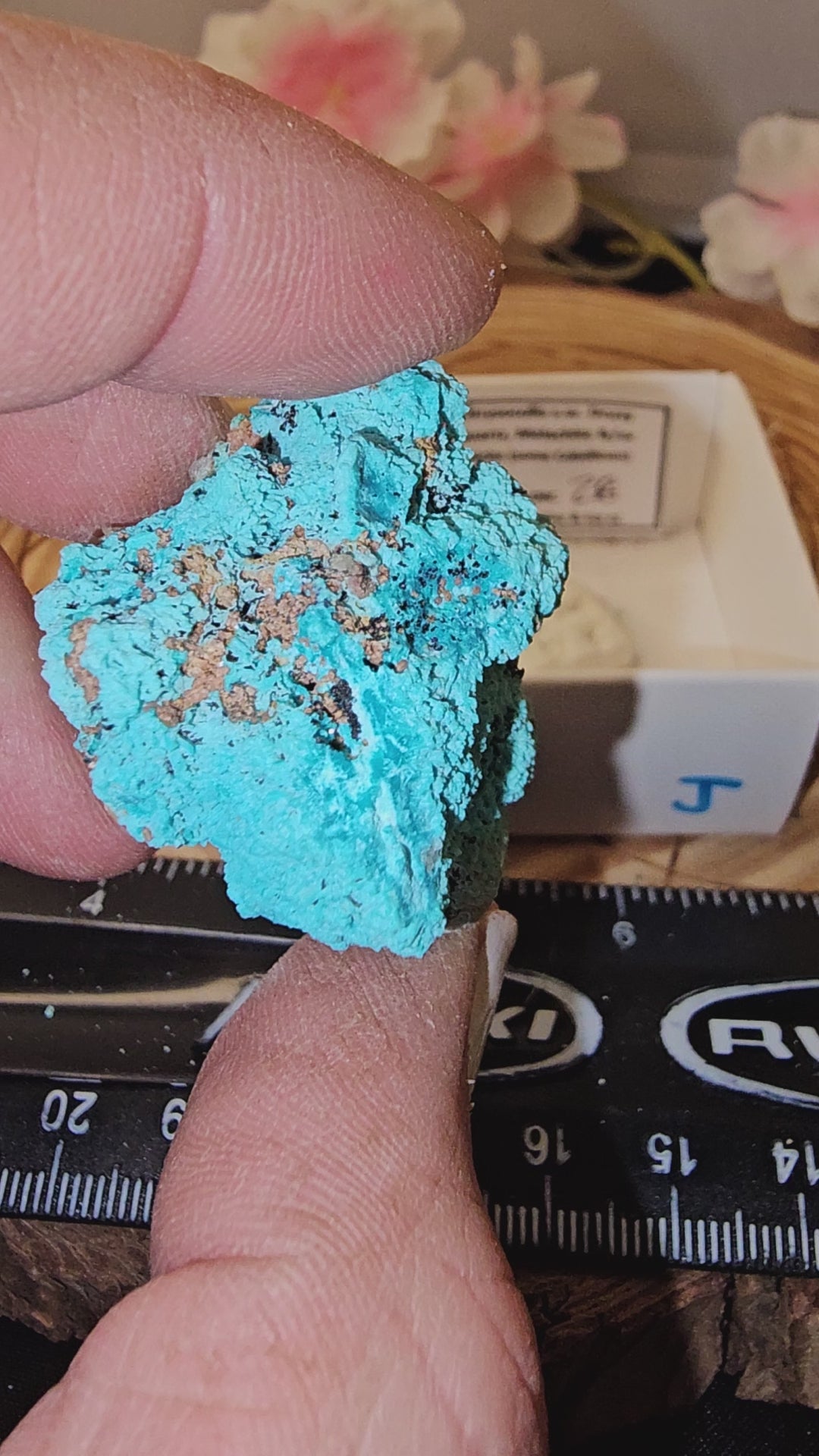 Chrysocolla specimen with malachite inclusions 28J