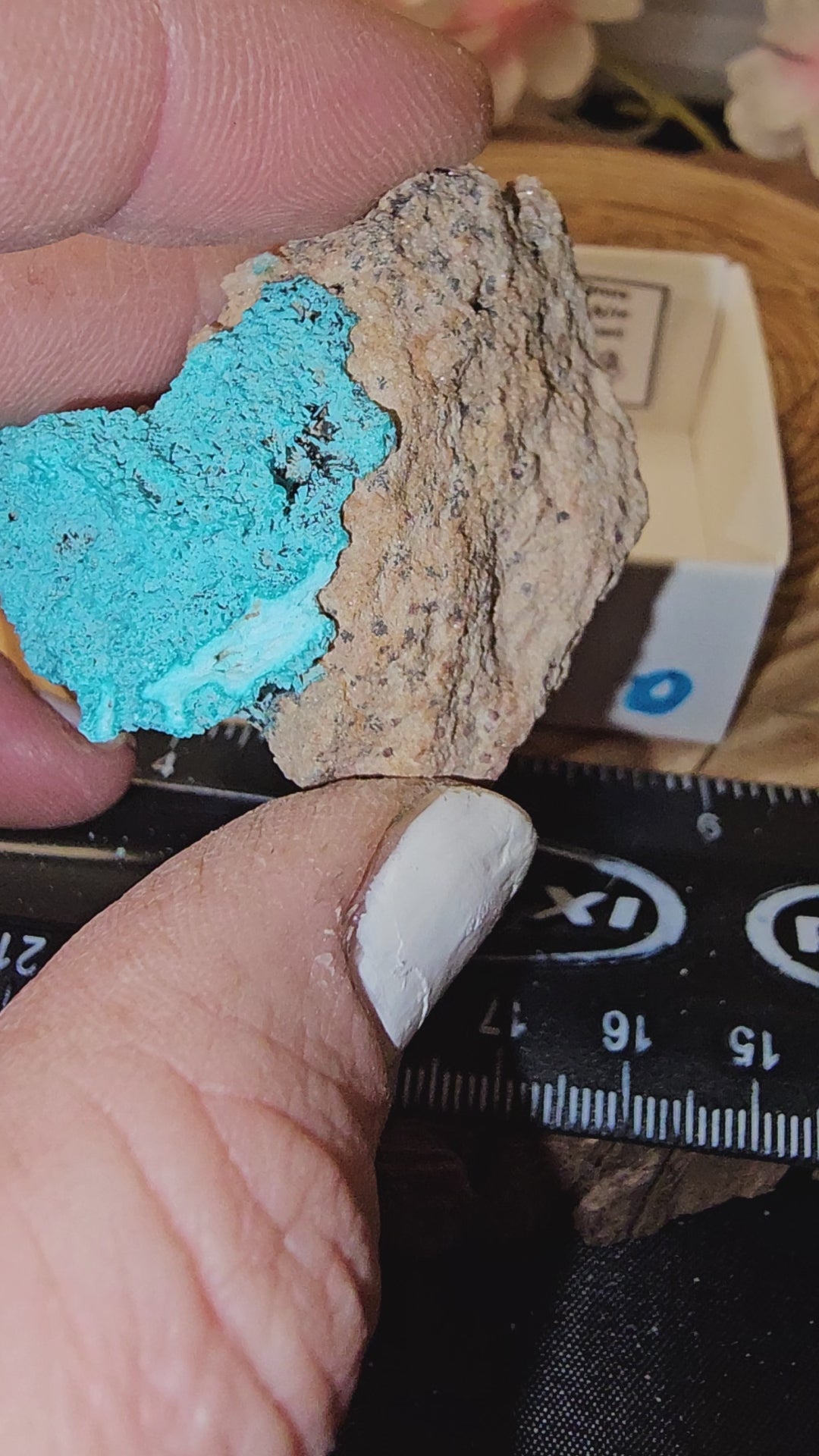 Chrysocolla specimen with malachite inclusions 28D