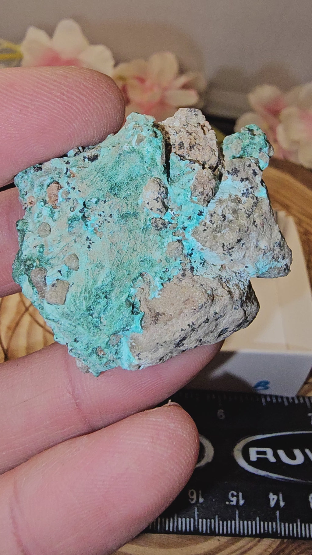 Chrysocolla specimen with malachite inclusions 28B