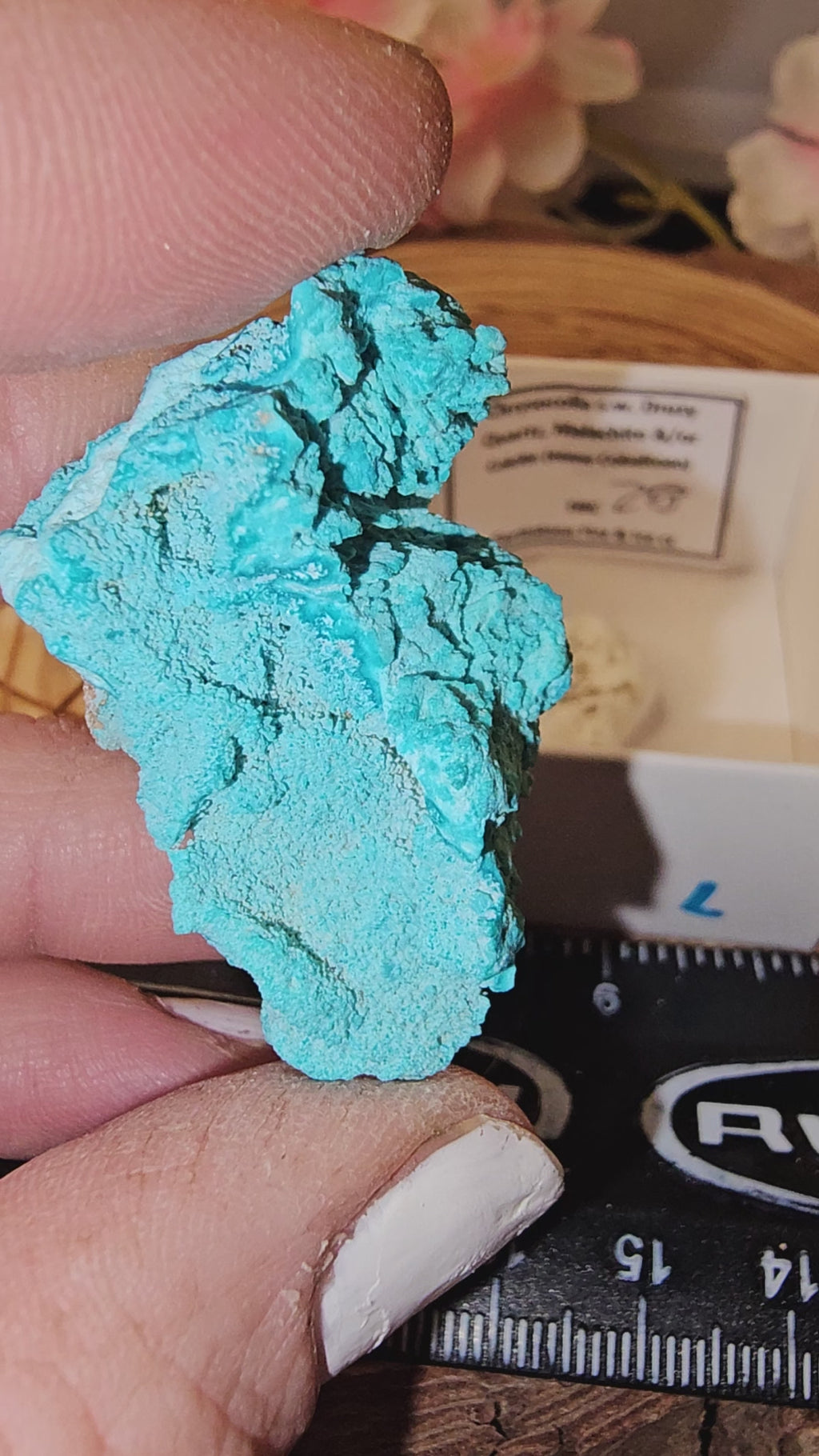 Chrysocolla specimen with malachite inclusions 28L