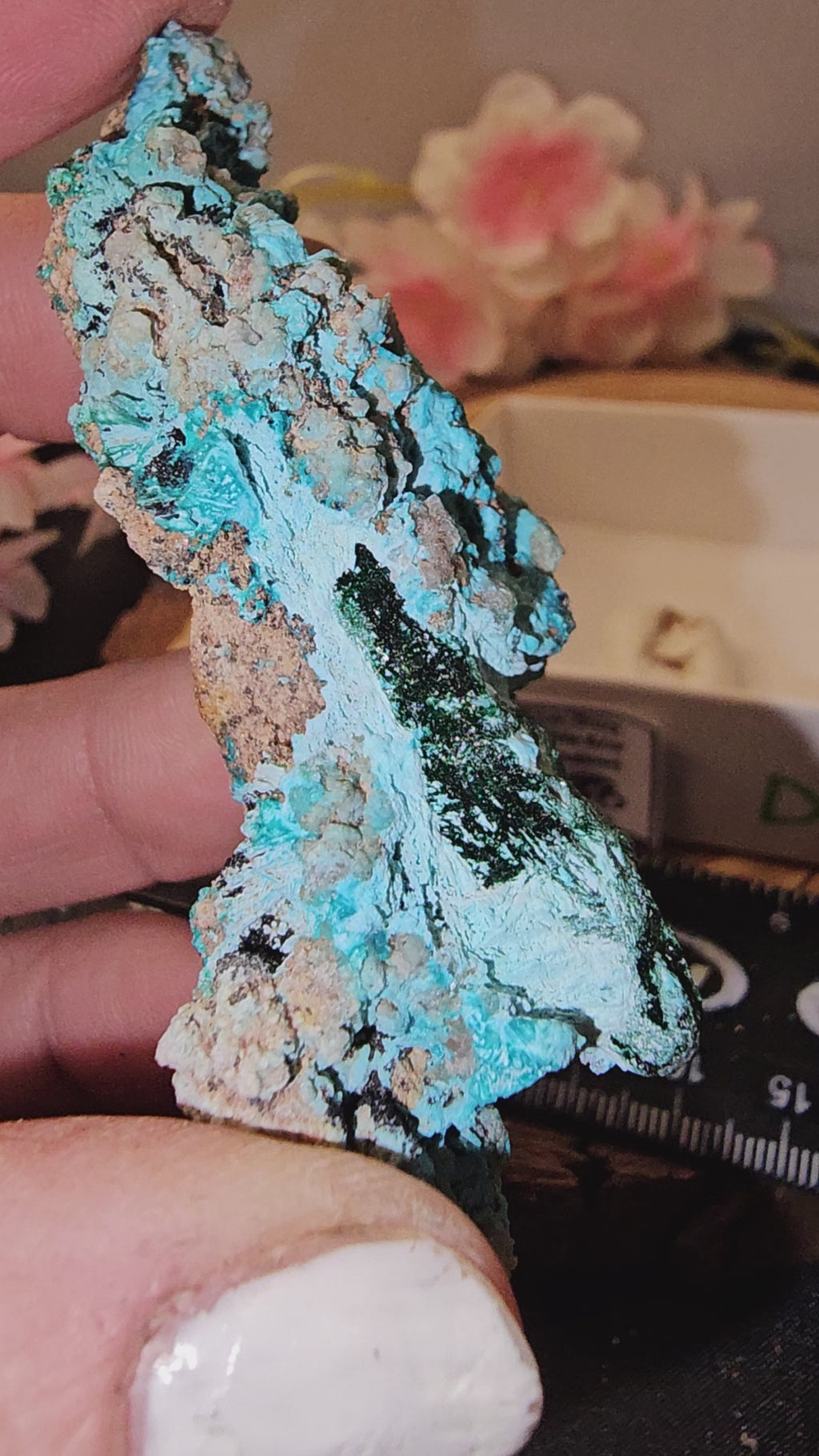 Chrysocolla specimen with malachite inclusions 38D