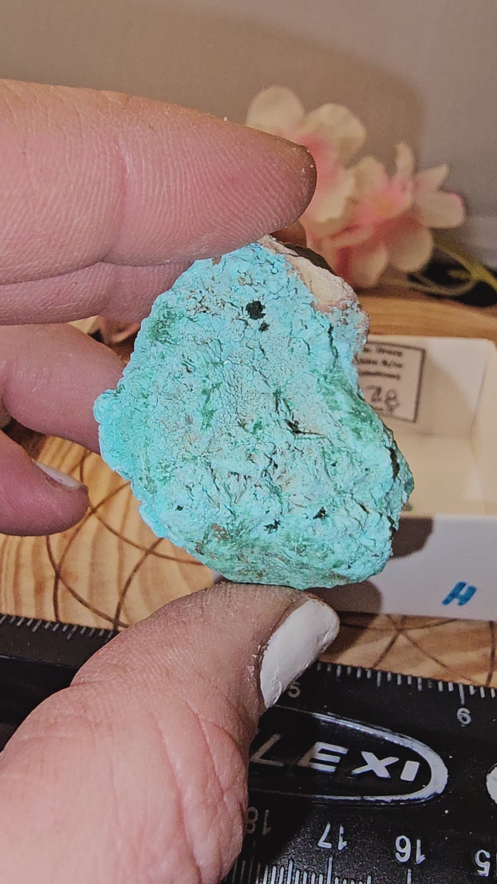 Chrysocolla specimen with malachite inclusions 28H