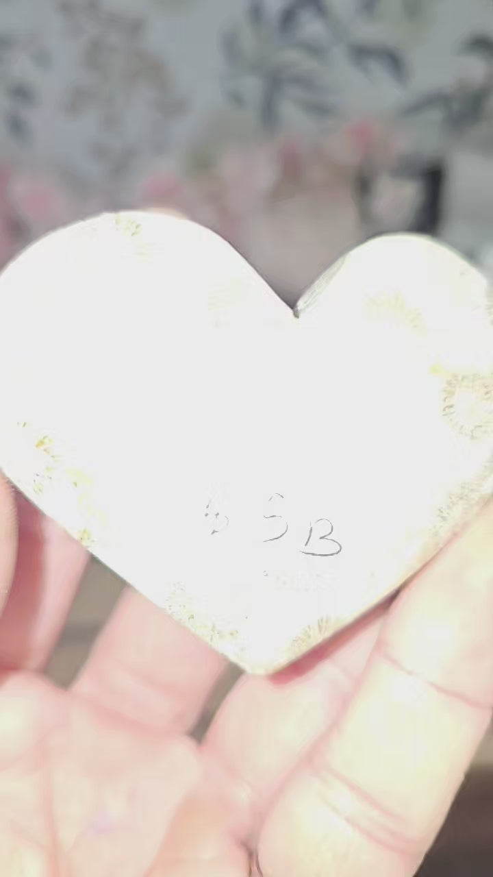 Coral fossil heart