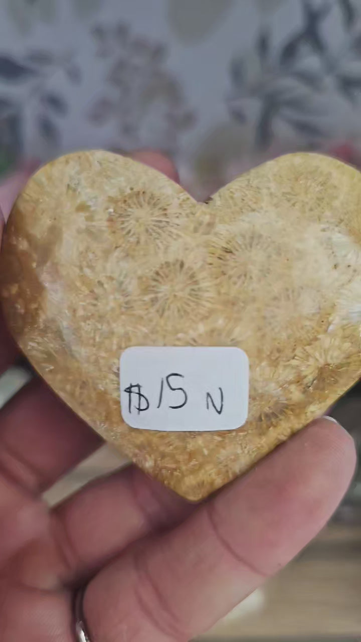 Coral fossil heart
