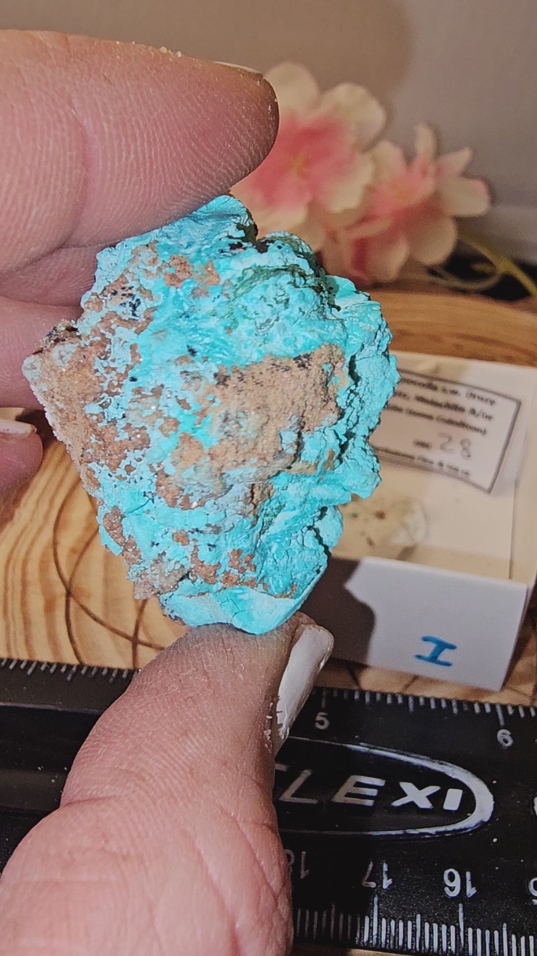 Chrysocolla specimen with malachite inclusions 28I