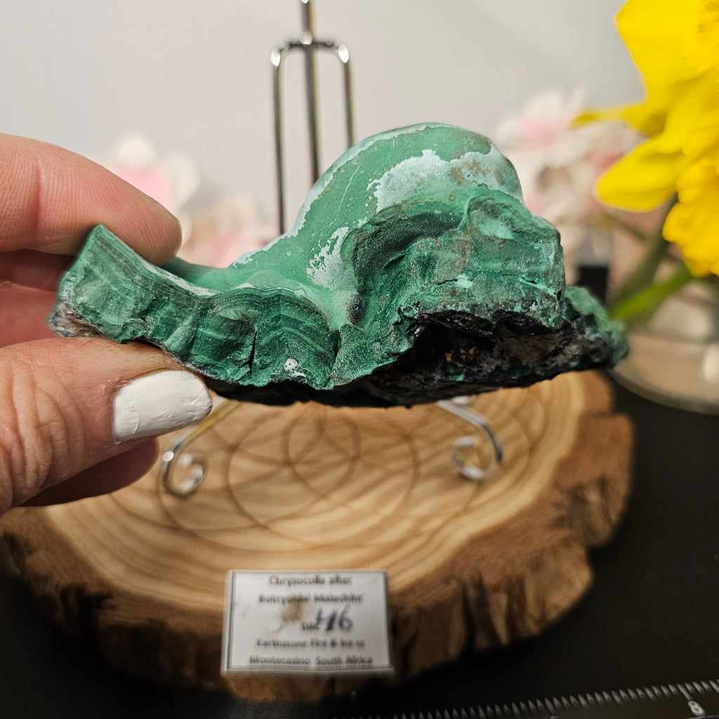 Botryoidal Malachite/Chrysocolla Slab 46