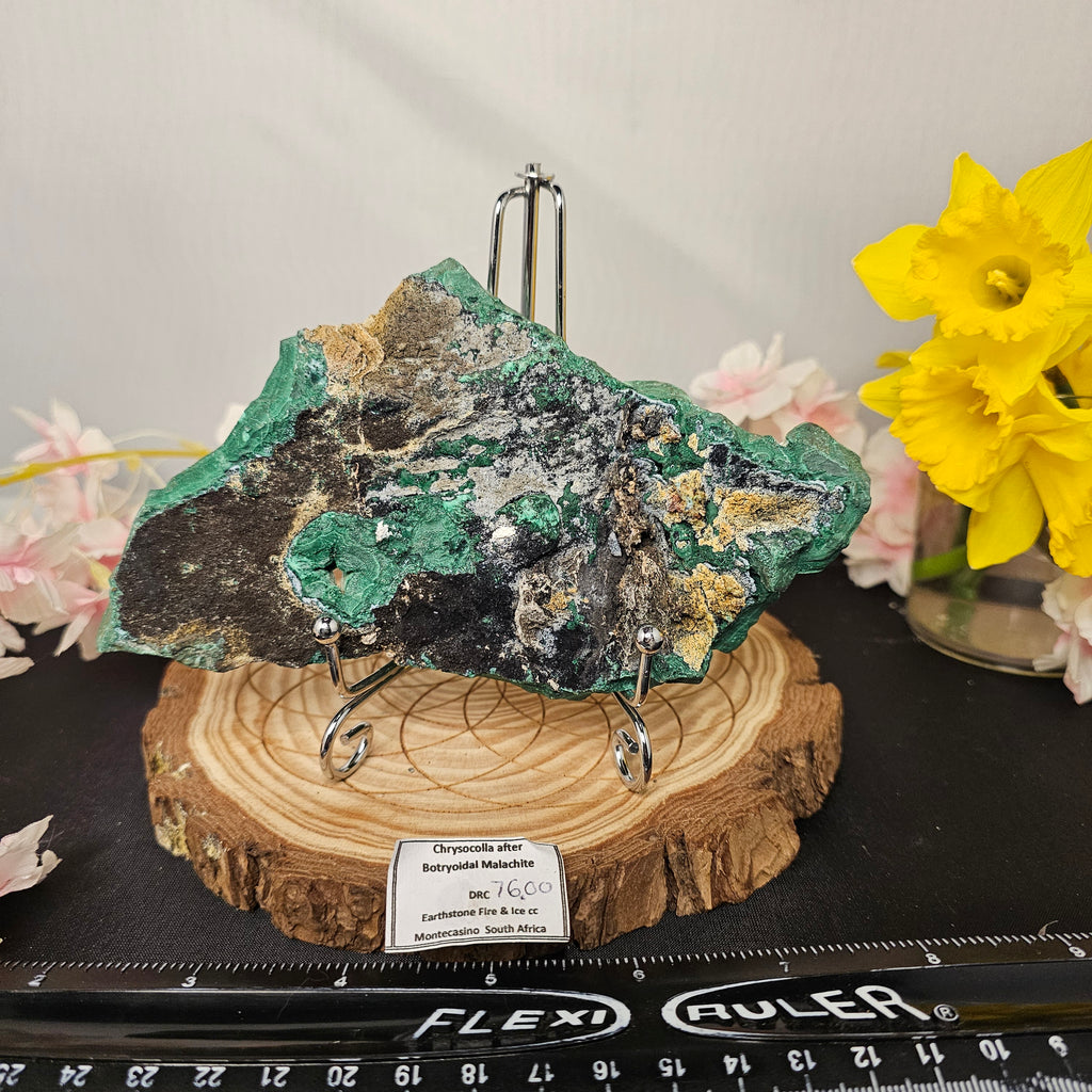 Botryoidal Malachite/Chrysocolla Slab 76
