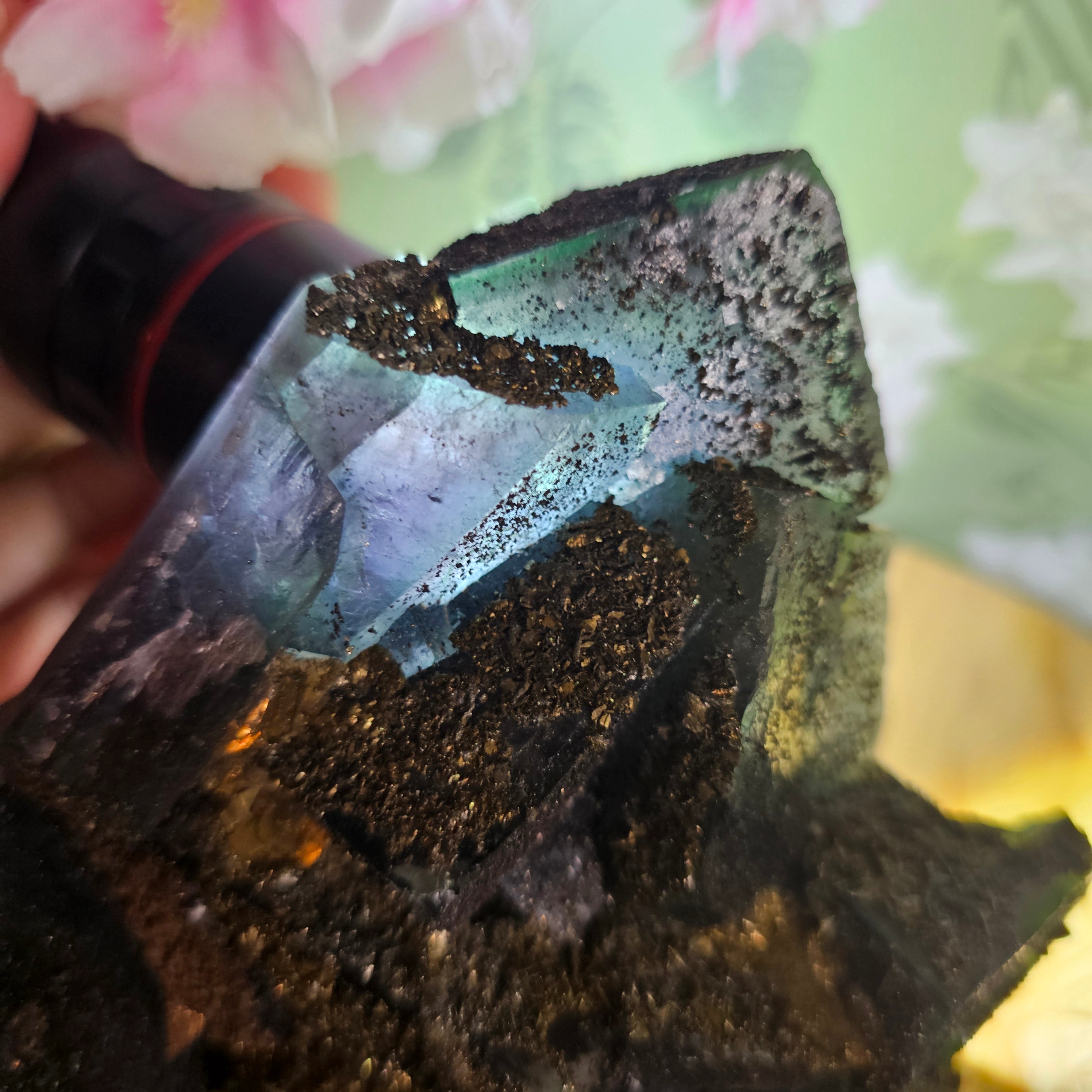 Blue fluorite with pyrite