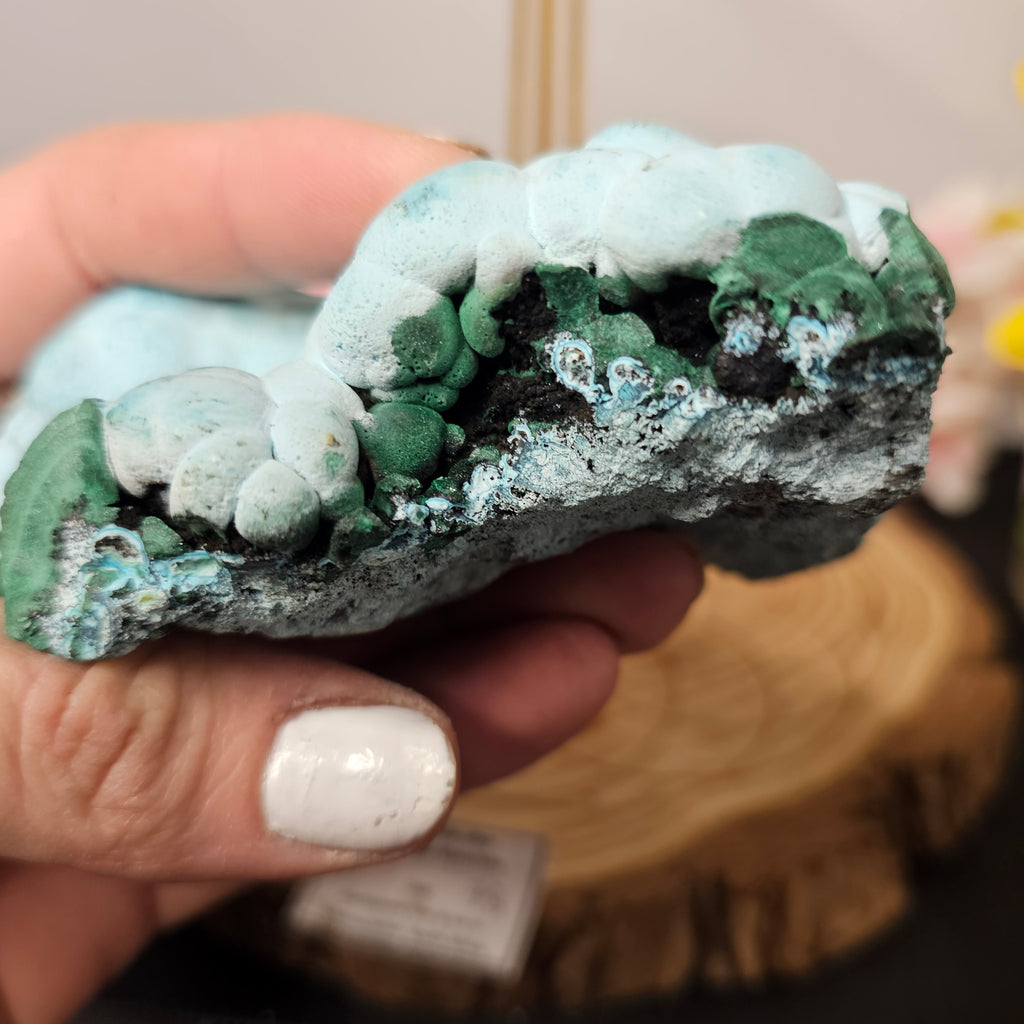Botryoidal Malachite/Chrysocolla Slab