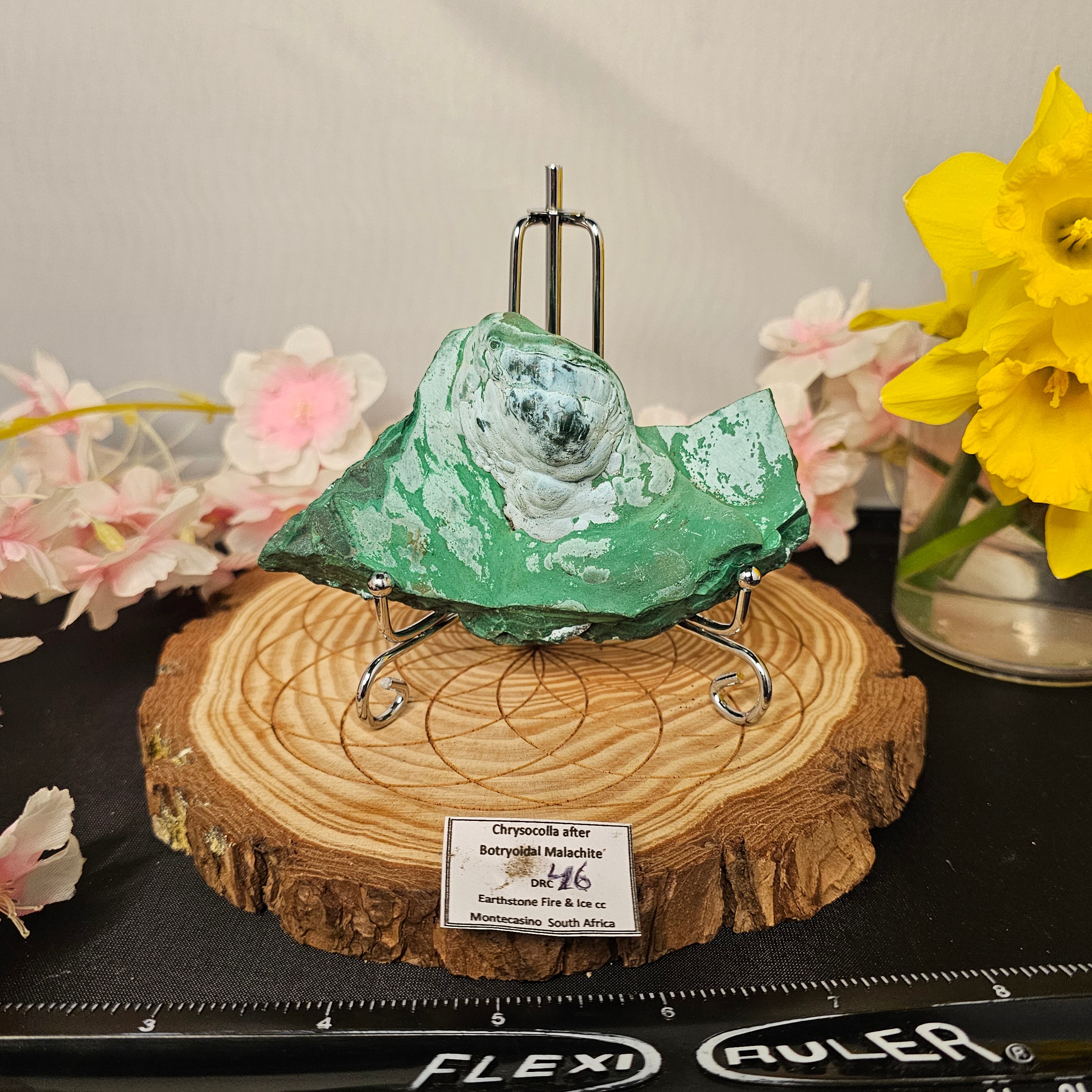 Botryoidal Malachite/Chrysocolla Slab 46