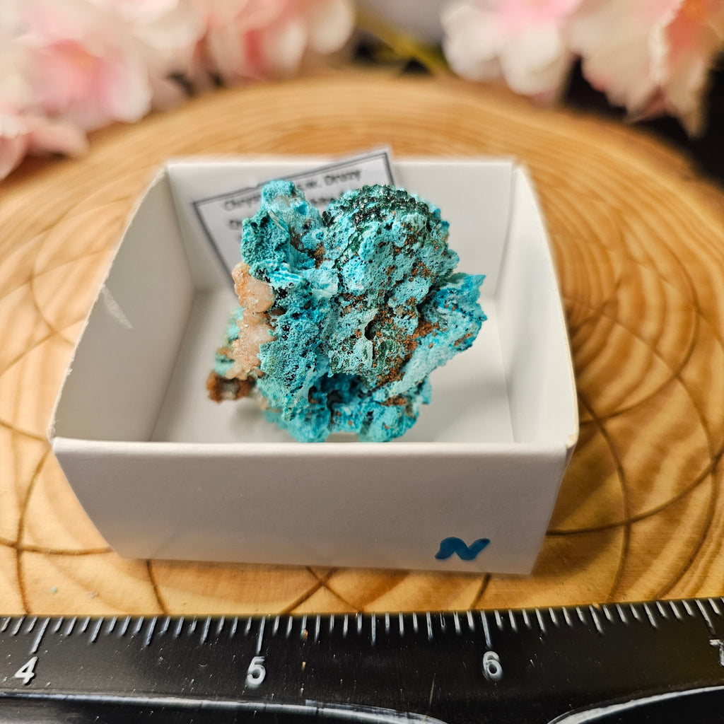 Chrysocolla specimen with malachite inclusions 28N