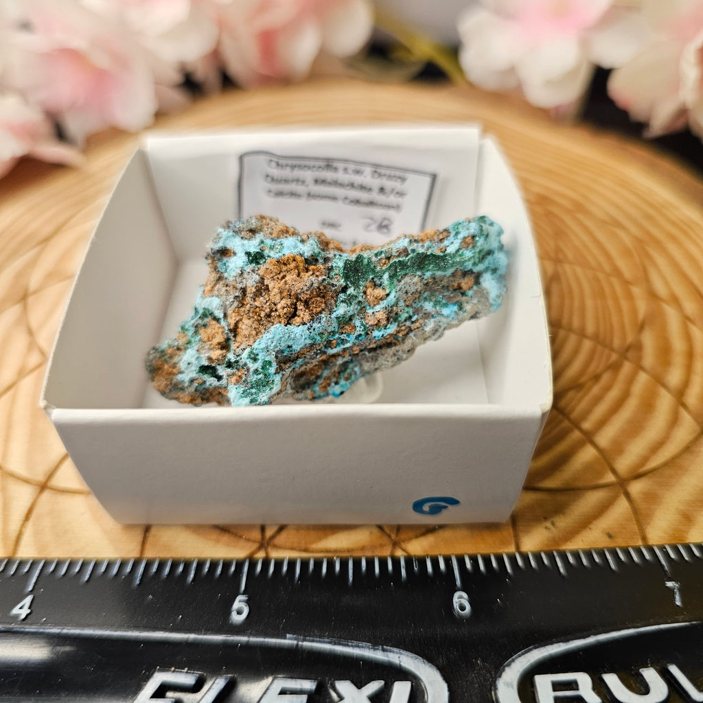 Chrysocolla specimen with malachite inclusions 28G