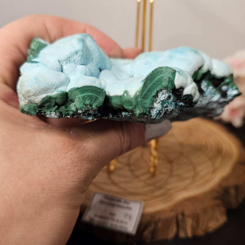 Botryoidal Malachite/Chrysocolla Slab