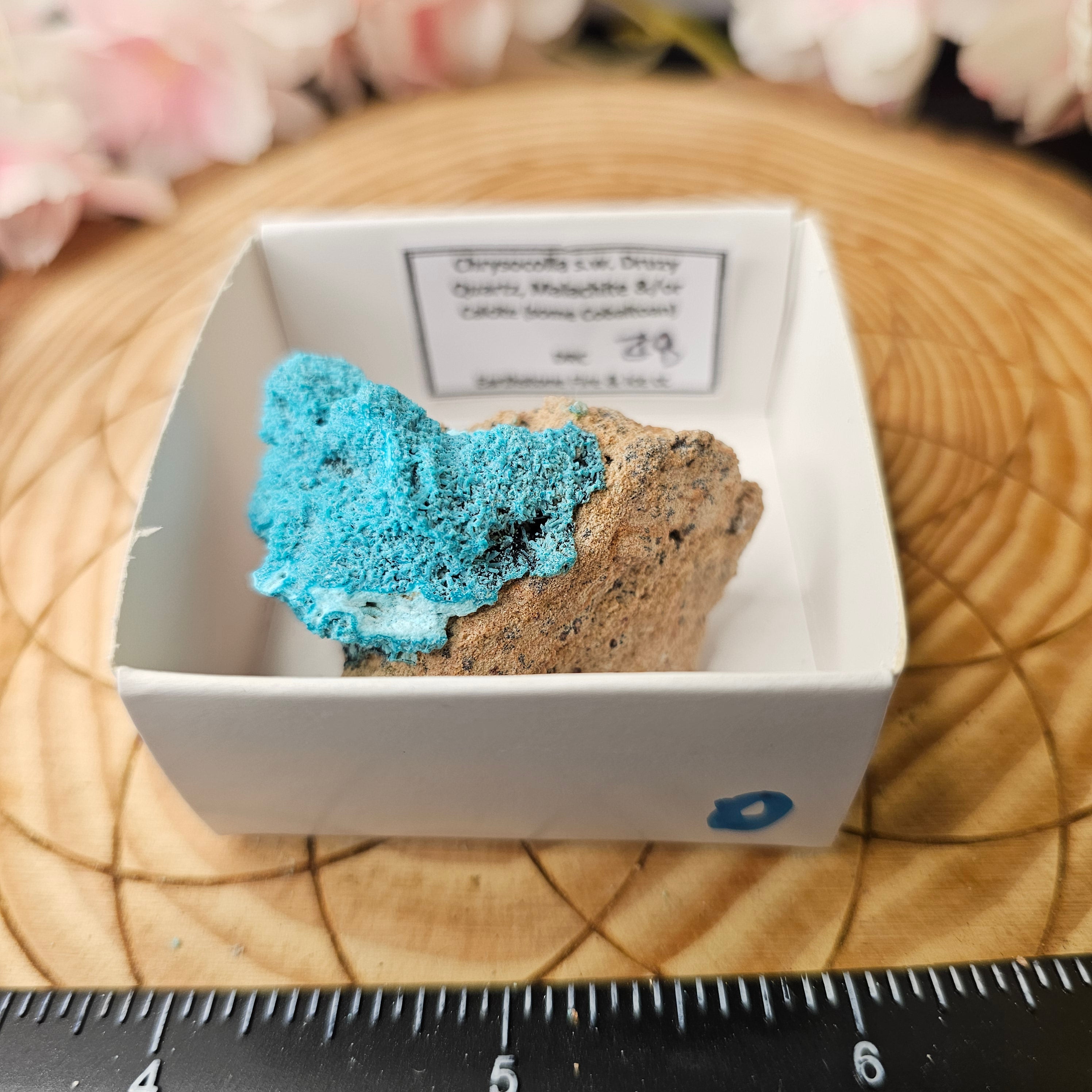 Chrysocolla specimen with malachite inclusions 28D