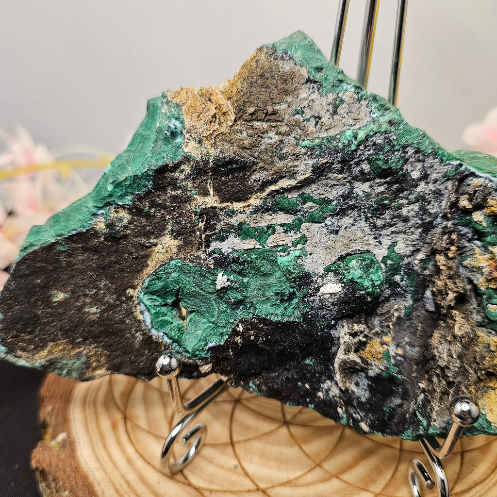 Botryoidal Malachite/Chrysocolla Slab 76