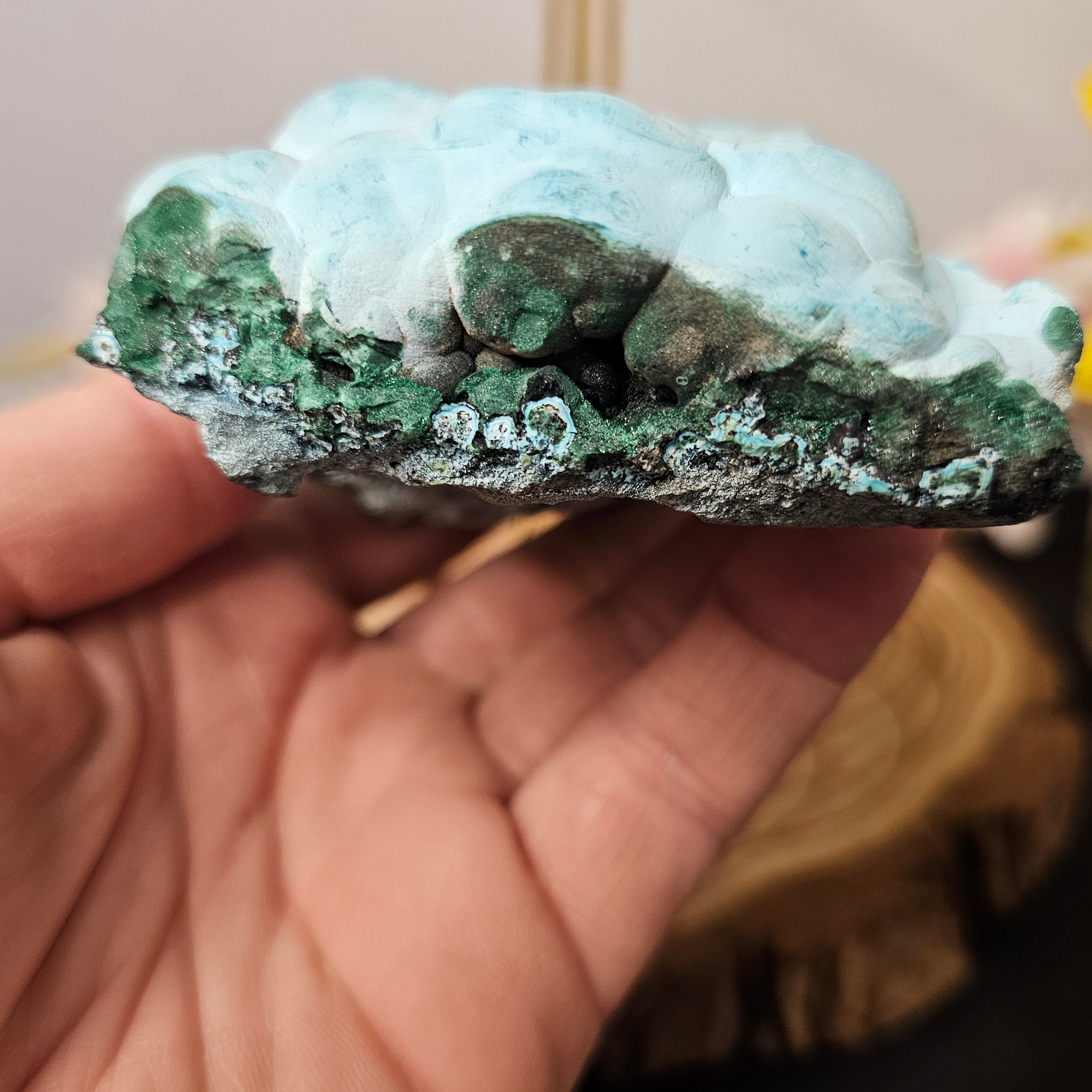 Botryoidal Malachite/Chrysocolla Slab