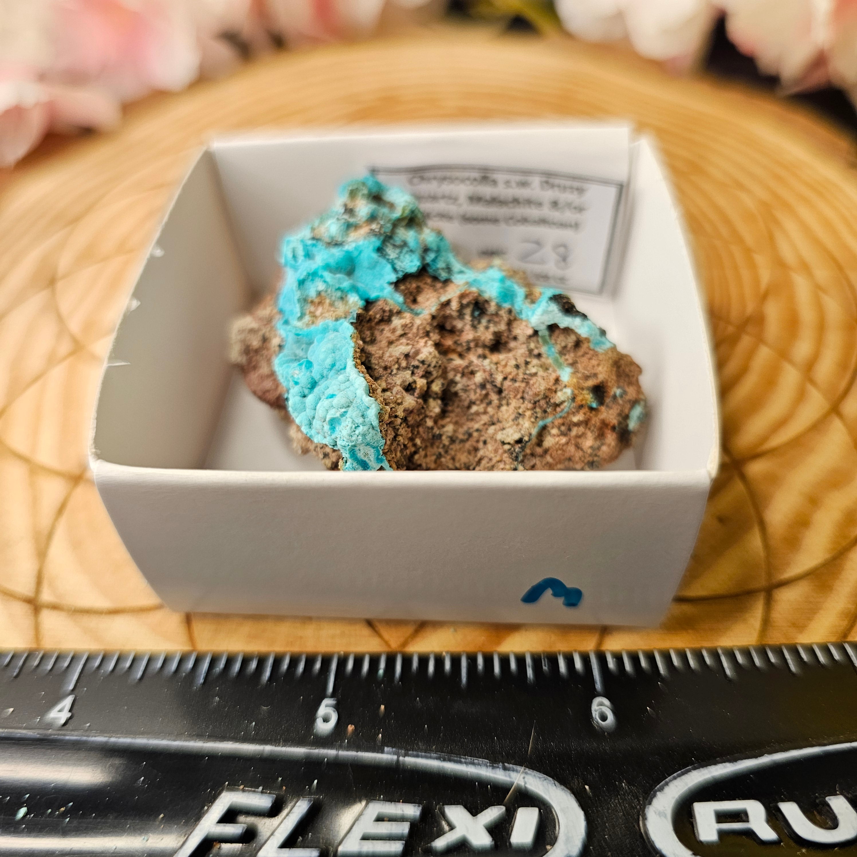 Chrysocolla specimen with malachite inclusions 28M