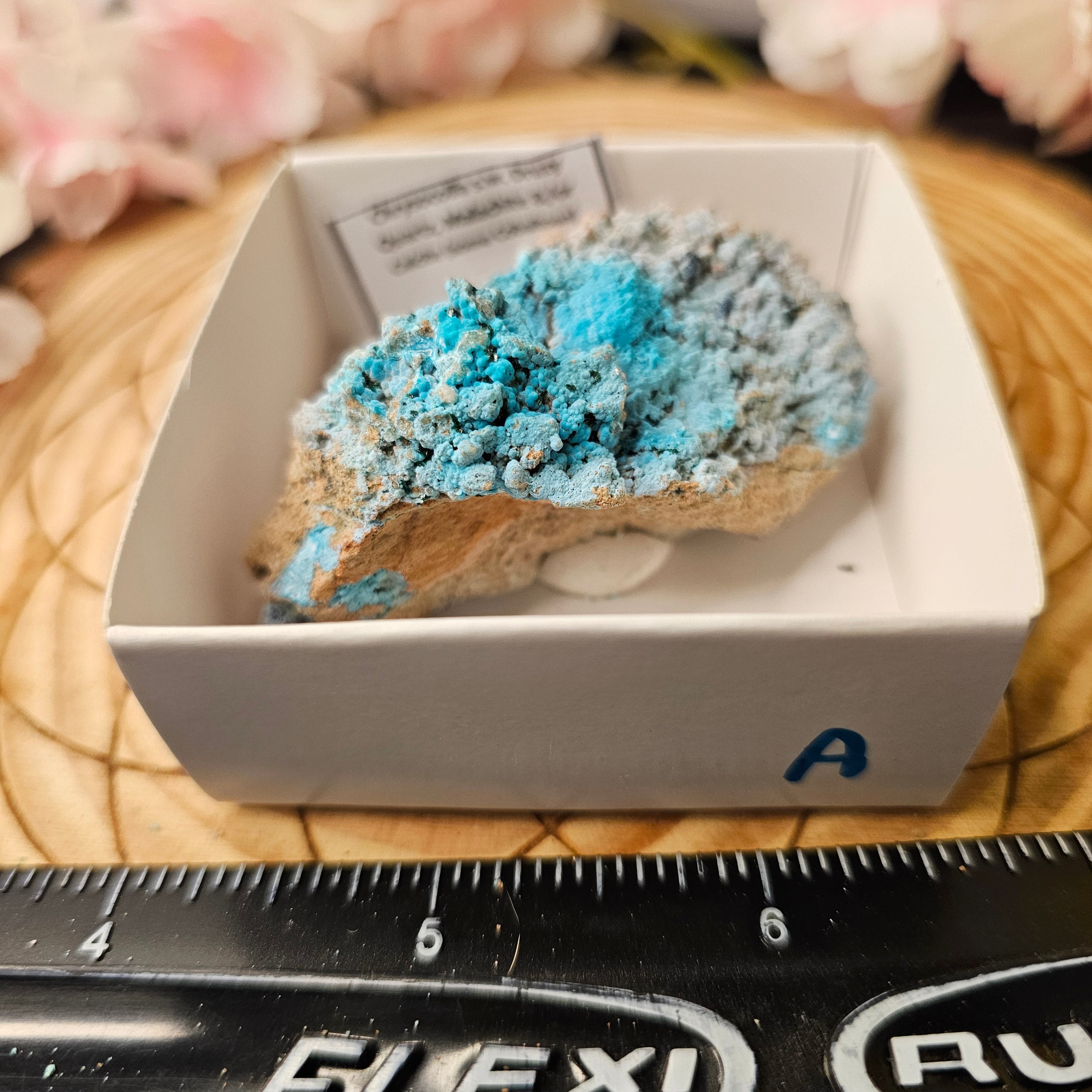 Chrysocolla specimen with malachite inclusions 38A
