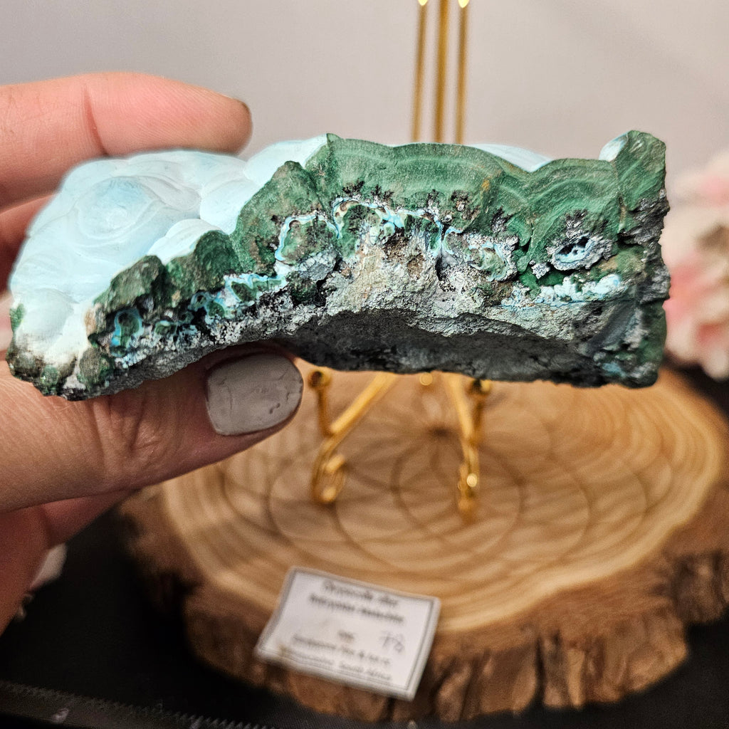 Botryoidal Malachite/Chrysocolla Slab