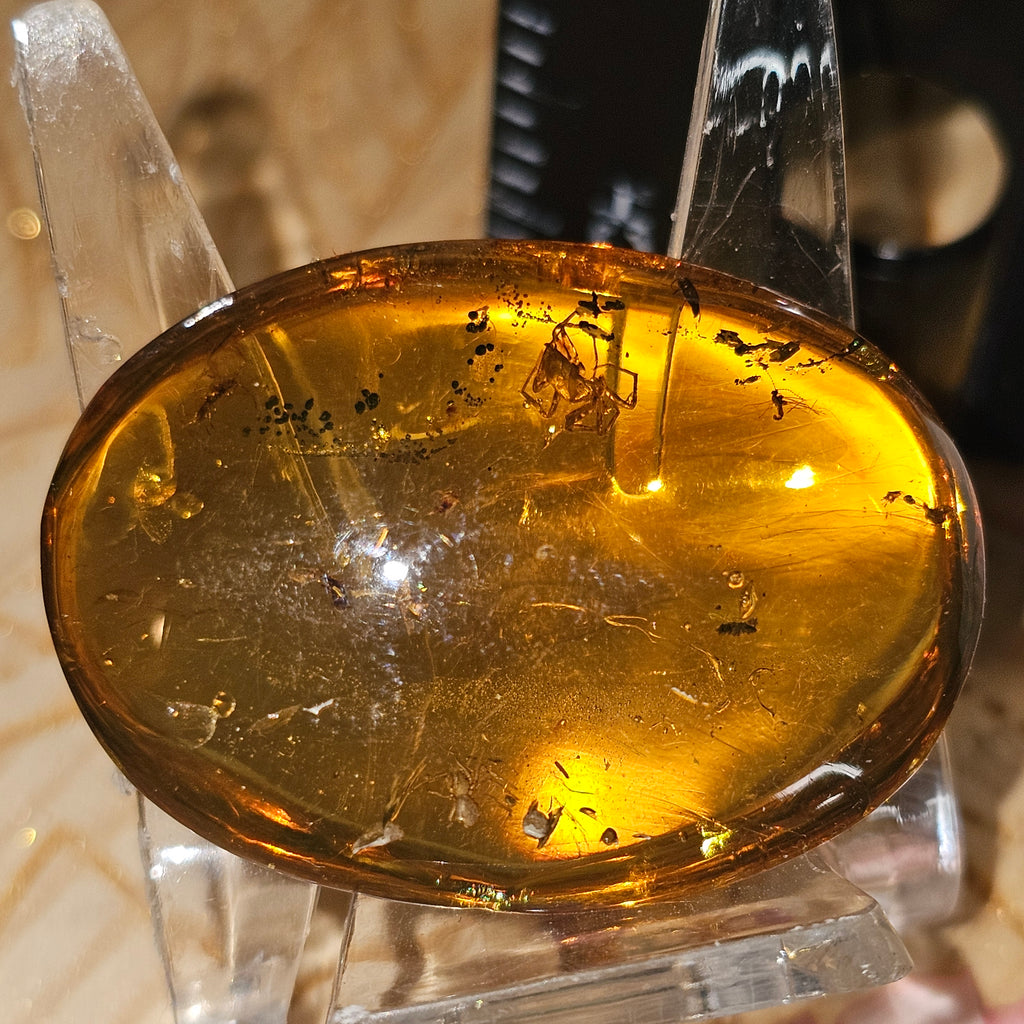 Spider's in Burmese Amber