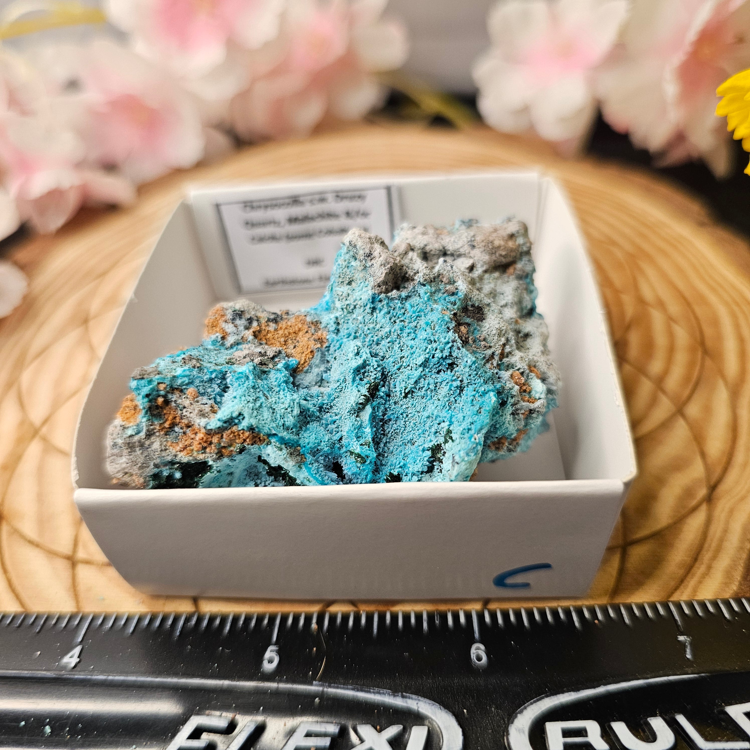 Chrysocolla specimen with malachite inclusions 38C