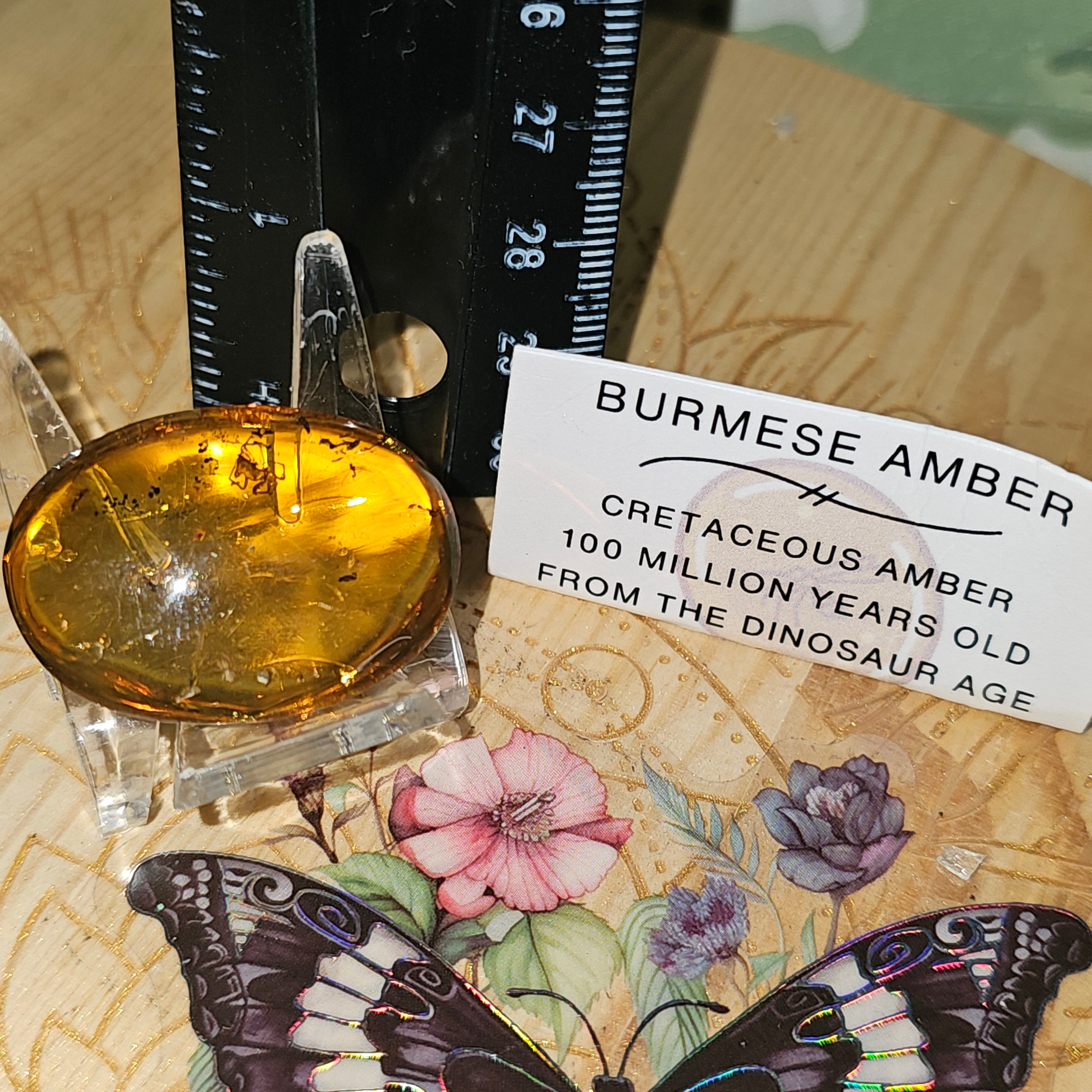 Spider's in Burmese Amber
