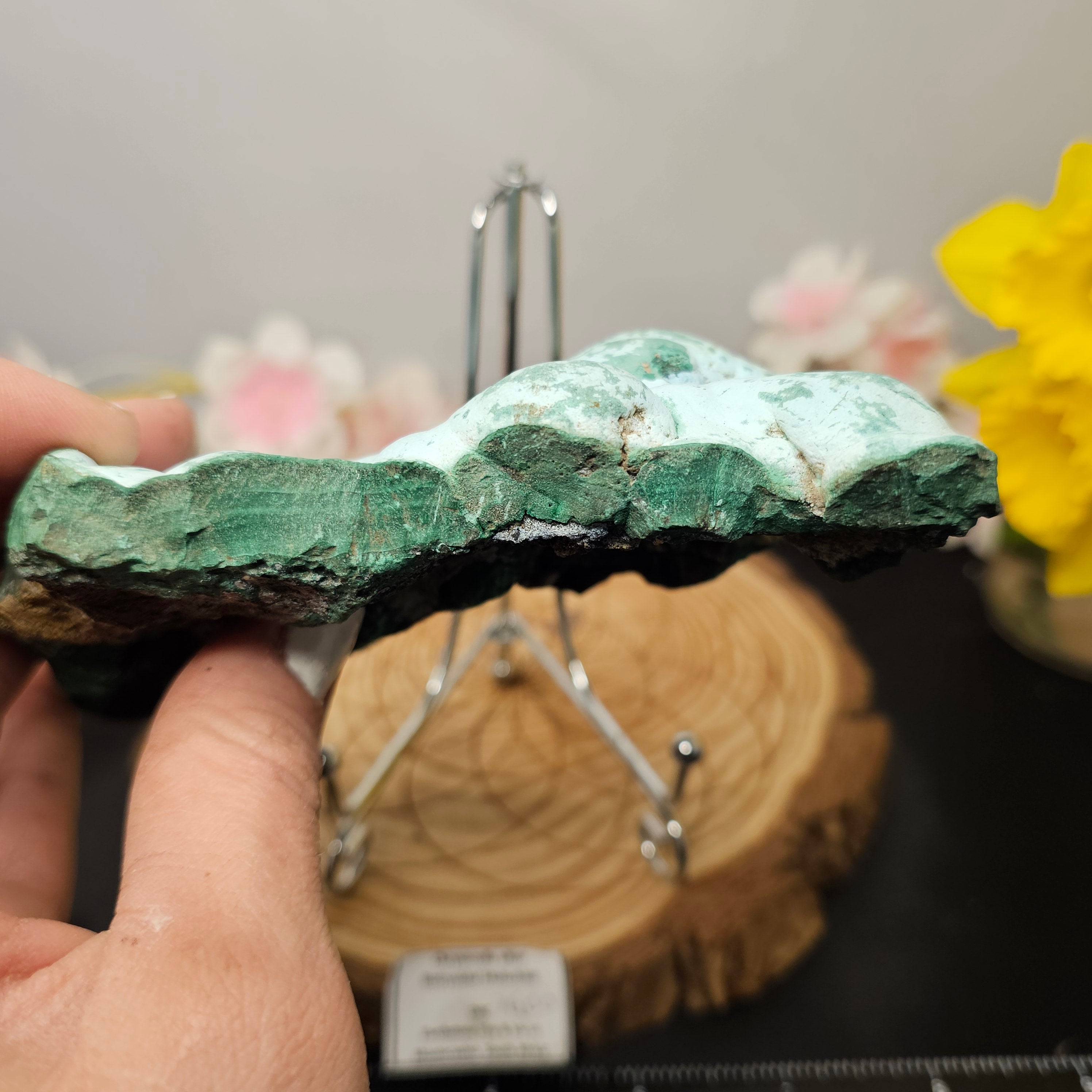 Botryoidal Malachite/Chrysocolla Slab 76